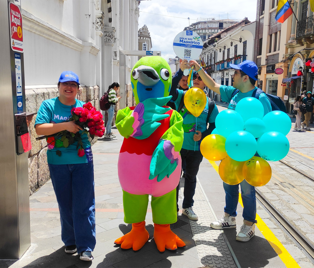 Imagen 2